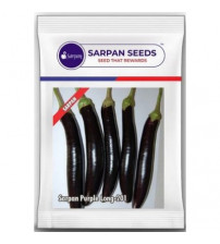 Brinjal Sarpan Purple Long 201